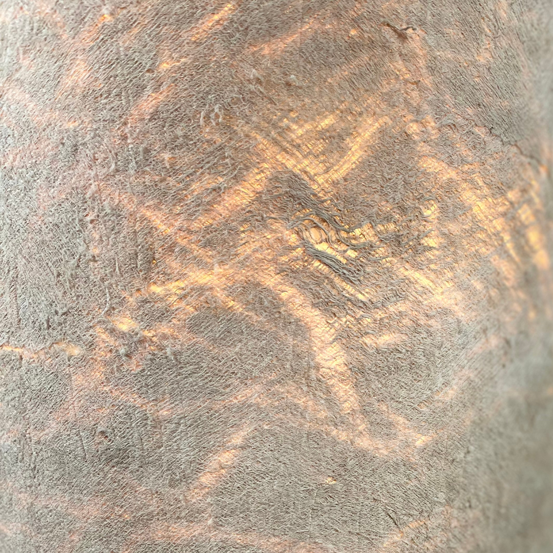 Tissu d'écorce d'arbre blanche avec des reflets illuminés