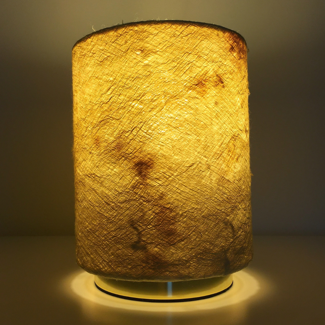 Lampe de chevet illuminée en écorce d'arbre blanche