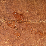 Tissu d'écorce d'arbre couleur terracotta